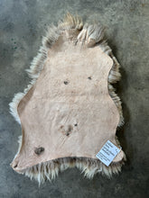 Load image into Gallery viewer, Churro Sheep Hide 42

