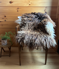 Load image into Gallery viewer, Churro Sheep Hide 29
