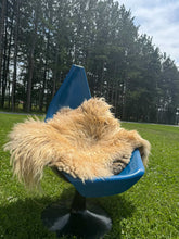 Load image into Gallery viewer, Churro Sheep Hide 7
