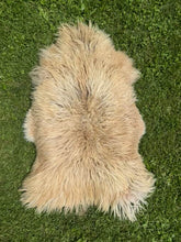 Load image into Gallery viewer, Churro Sheep Hide 7
