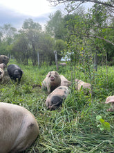 Load image into Gallery viewer, FARM TOUR
