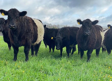 Load image into Gallery viewer, FARM TOUR
