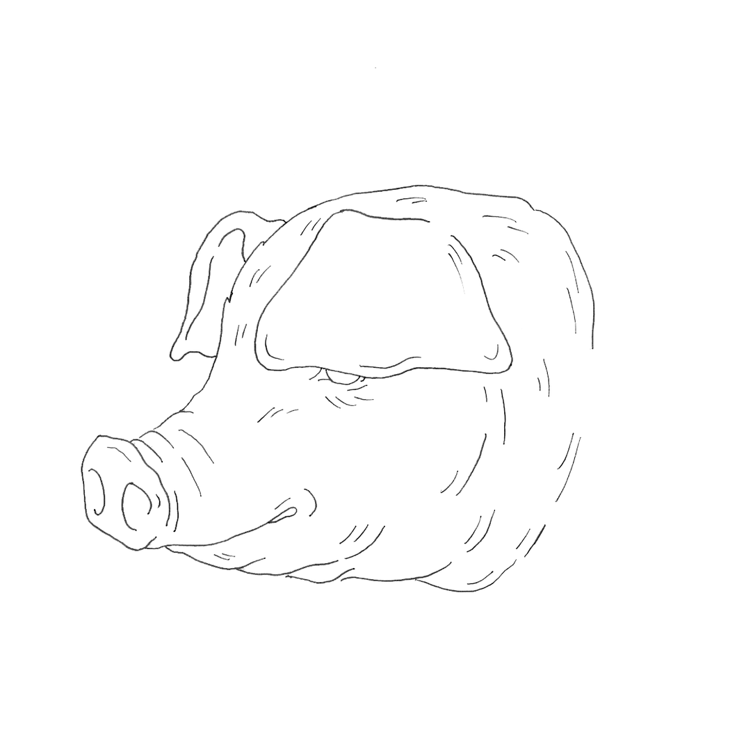 Pork Bundle [20LBS]